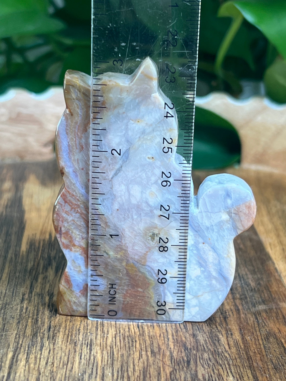 River Jasper Cat: PE