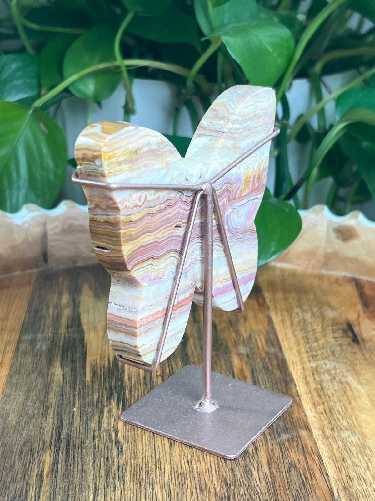 Crazy Lace Agate Butterfly: L