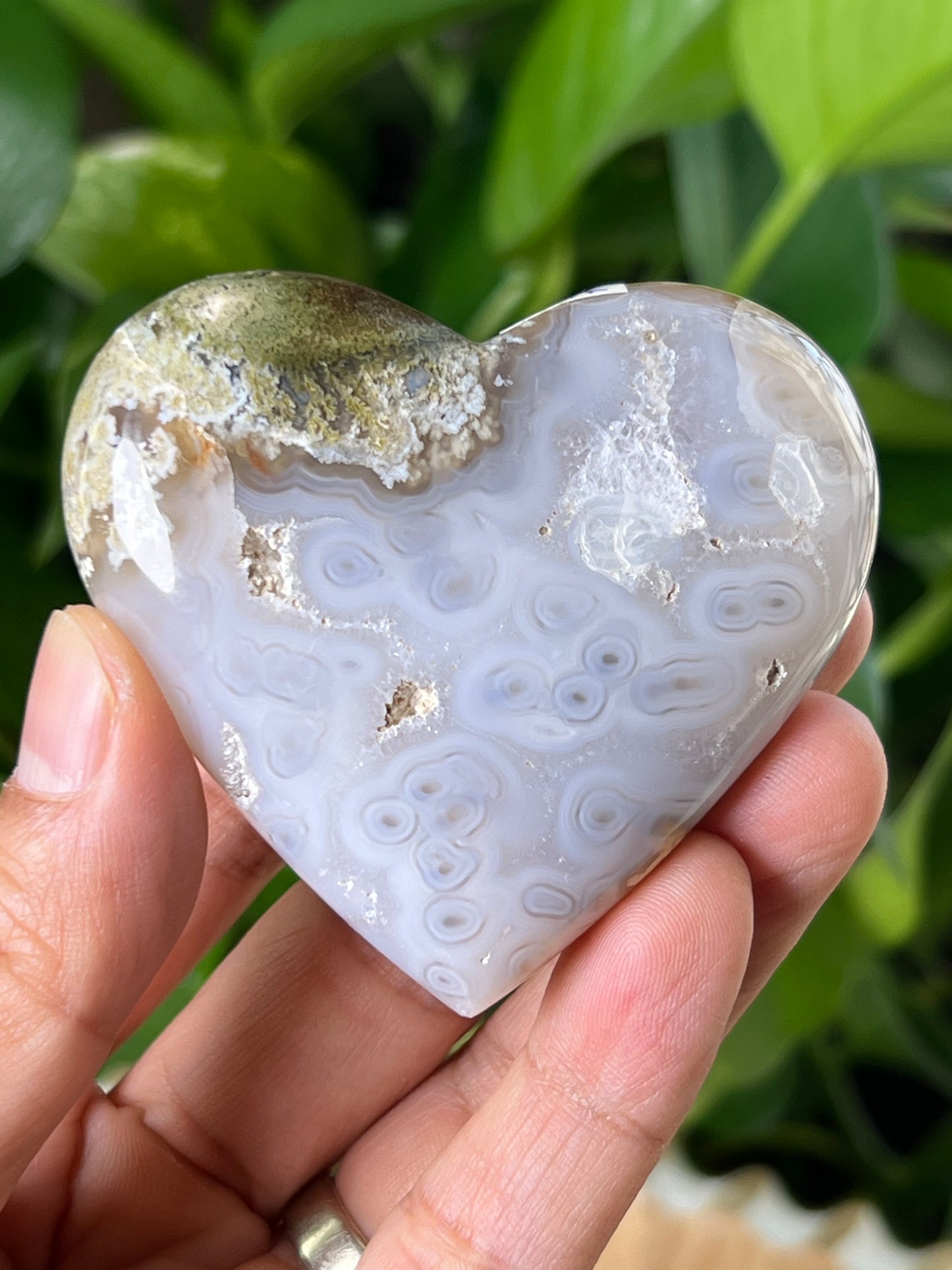 Scenic Moss Agate Heart