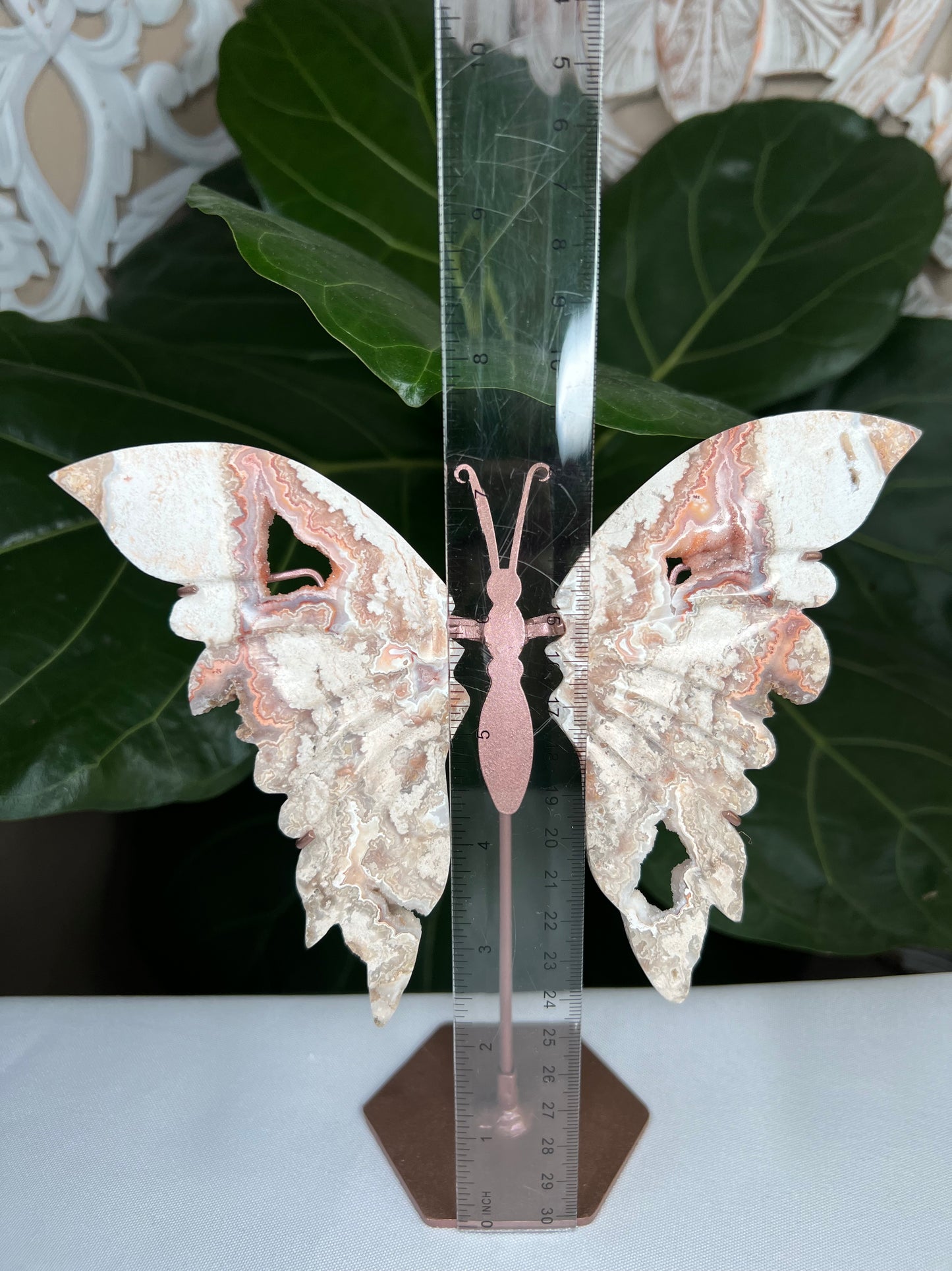 Crazy Lace Agate Wings