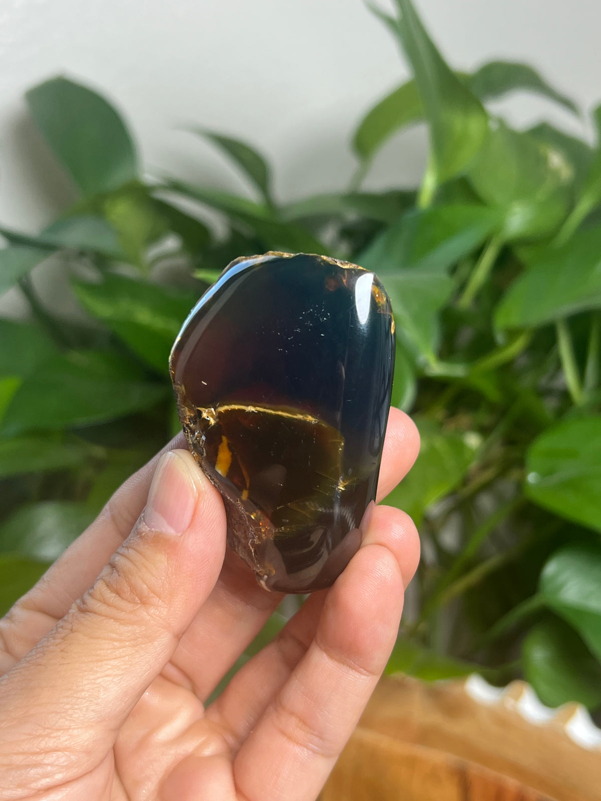 Blue Amber Freeform: Bi