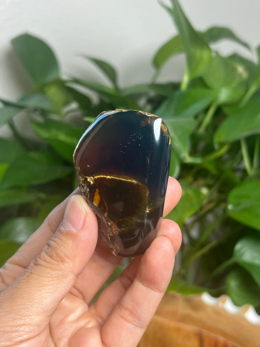 Blue Amber Freeform: Bi