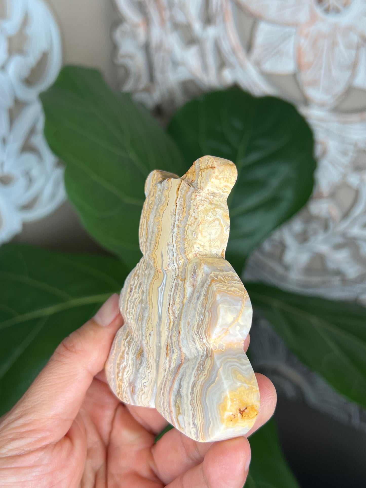 Crazy Lace Agate Bear