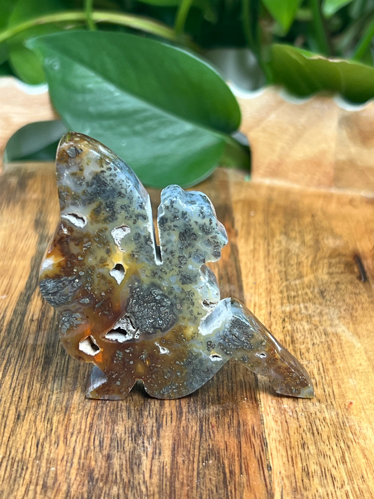 Marcasite Fairy: PE