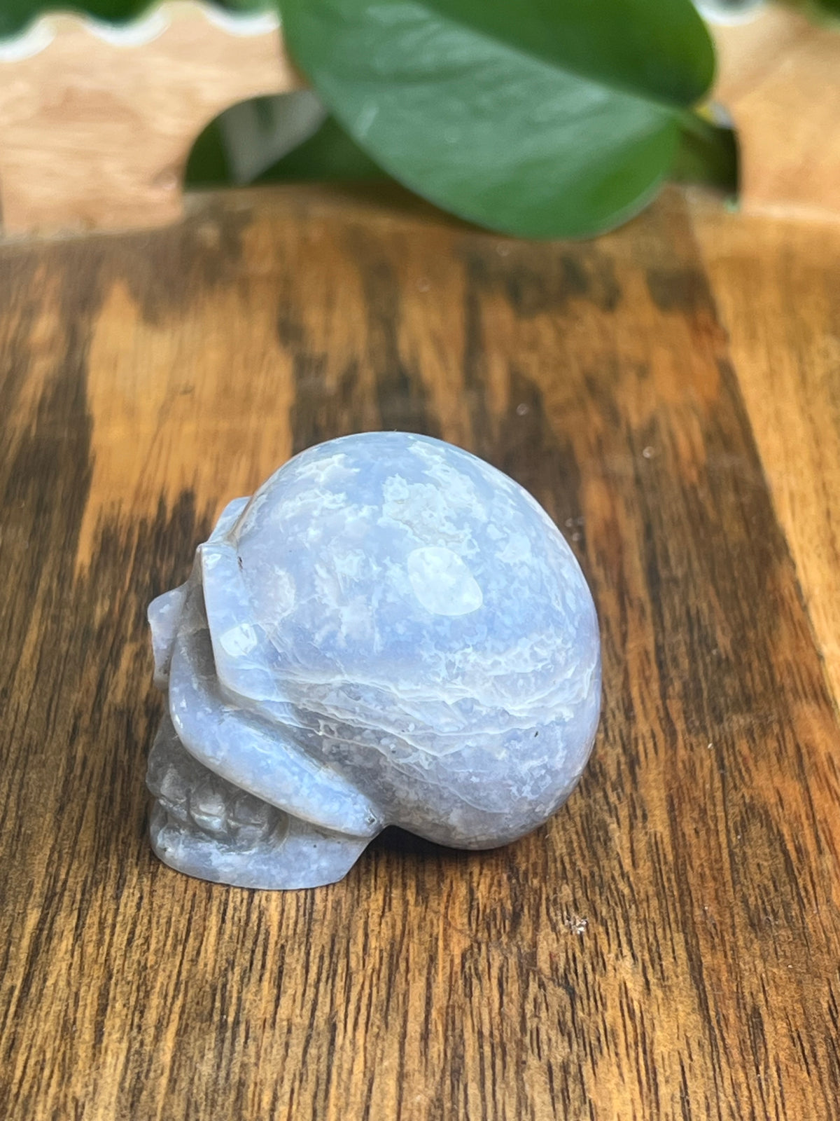 Blue Plume Agate Skull: BA