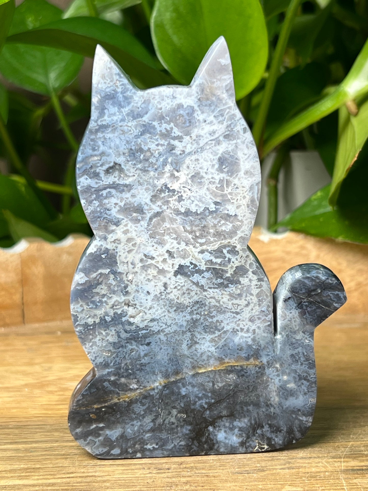 Blue Plume Agate Cat