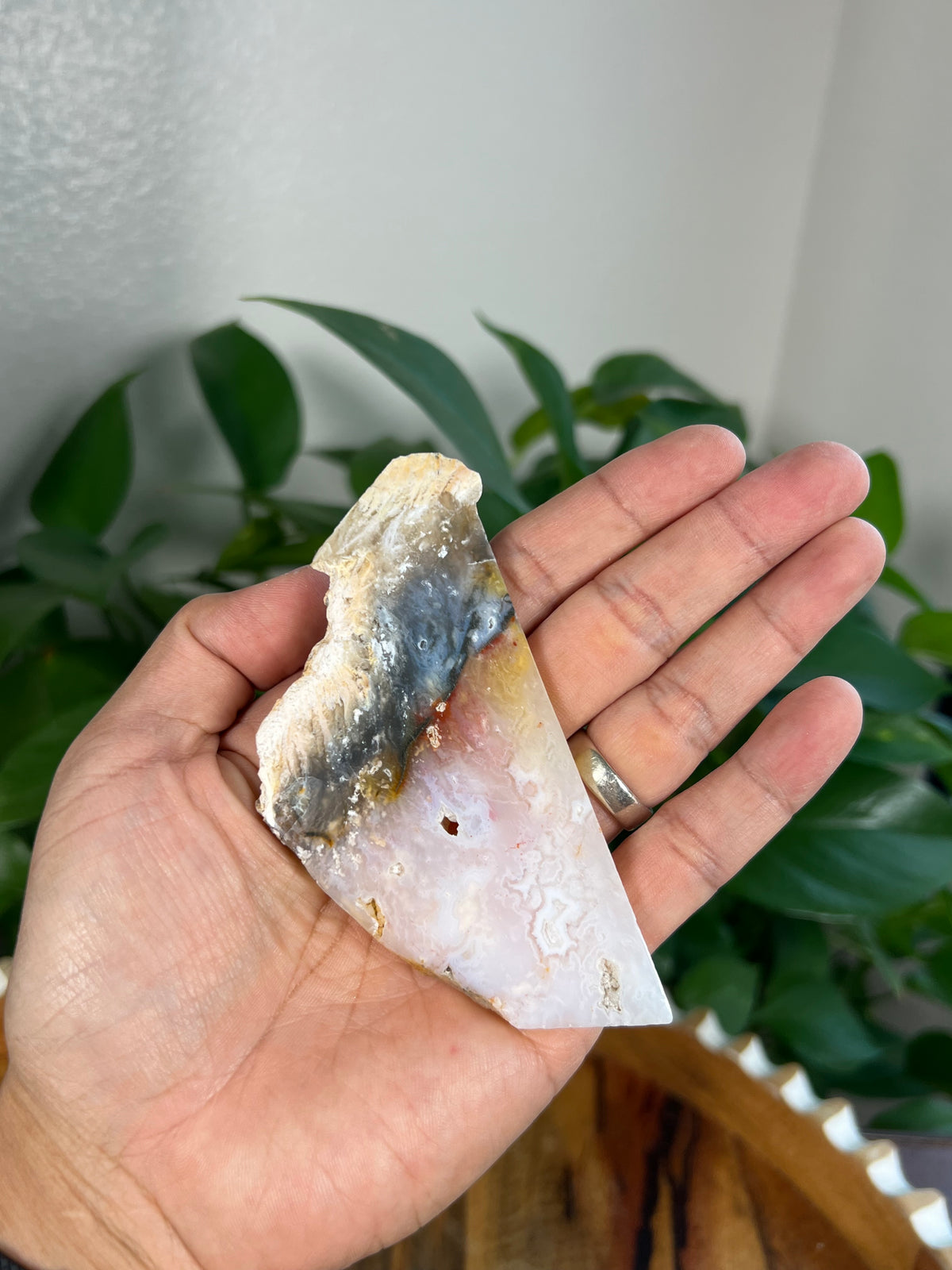 Rainbow Plume Agate Slabs