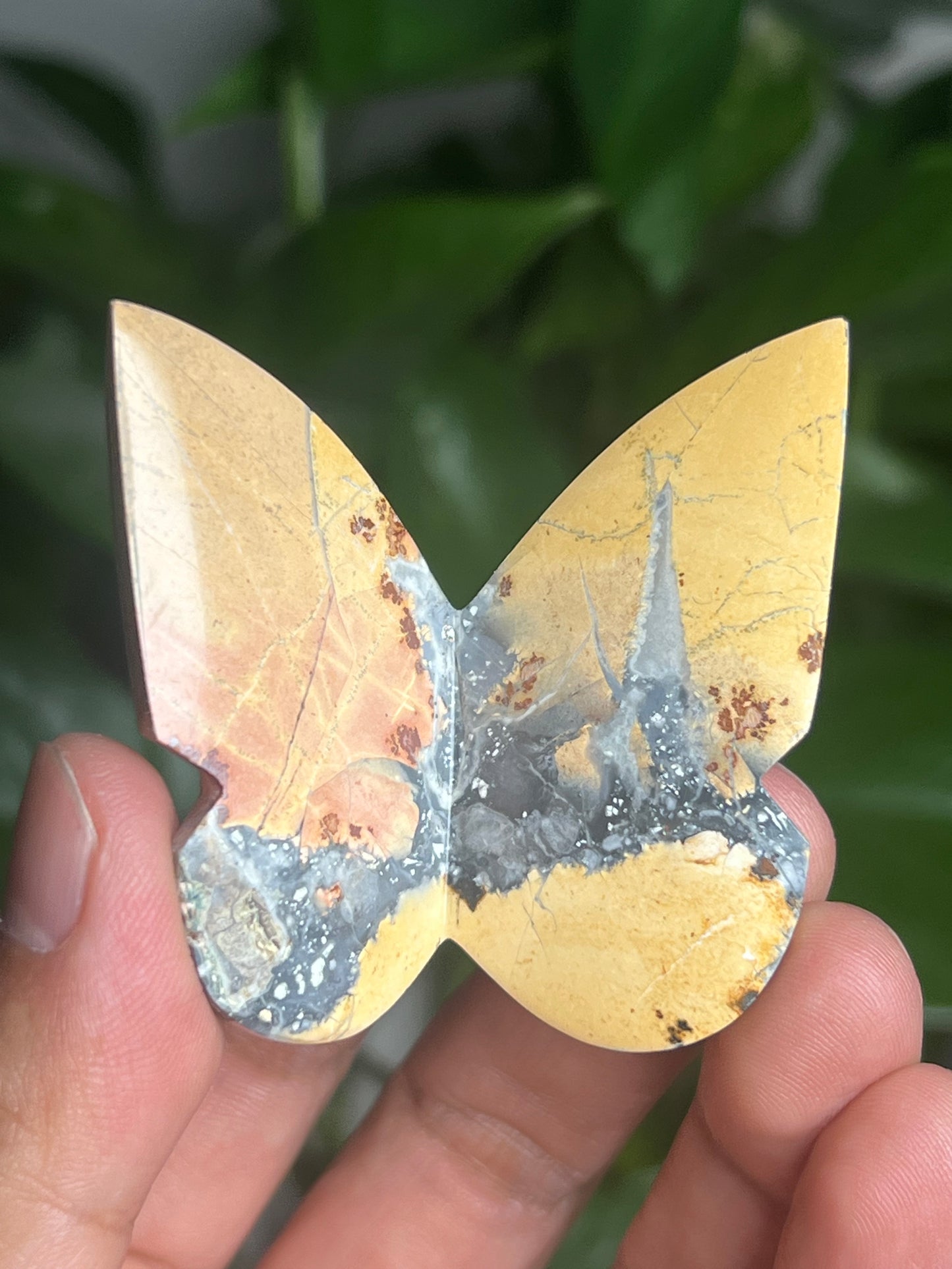 Maligano 3D Butterfly: AN