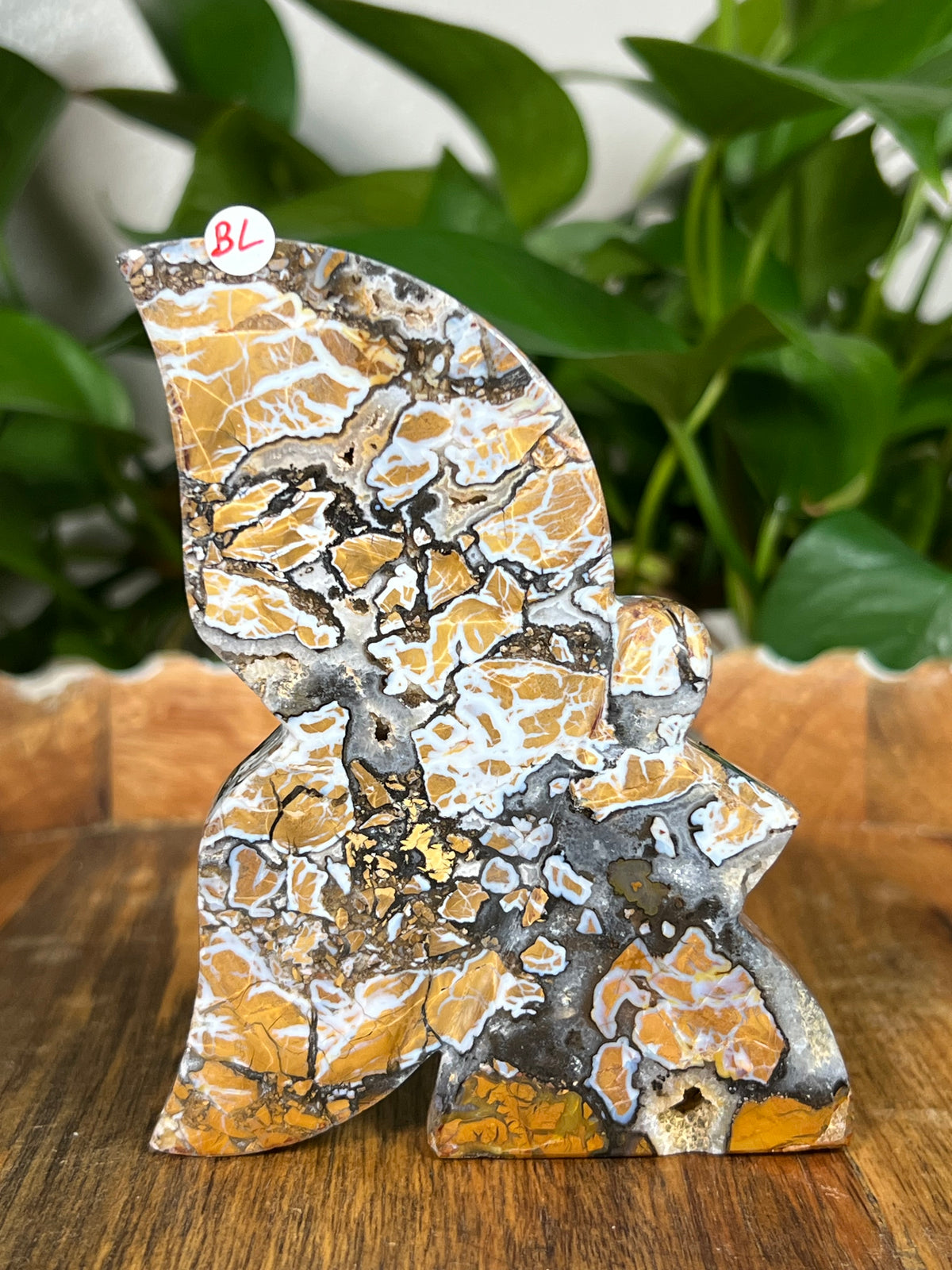 Brecciated Jasper Fairies