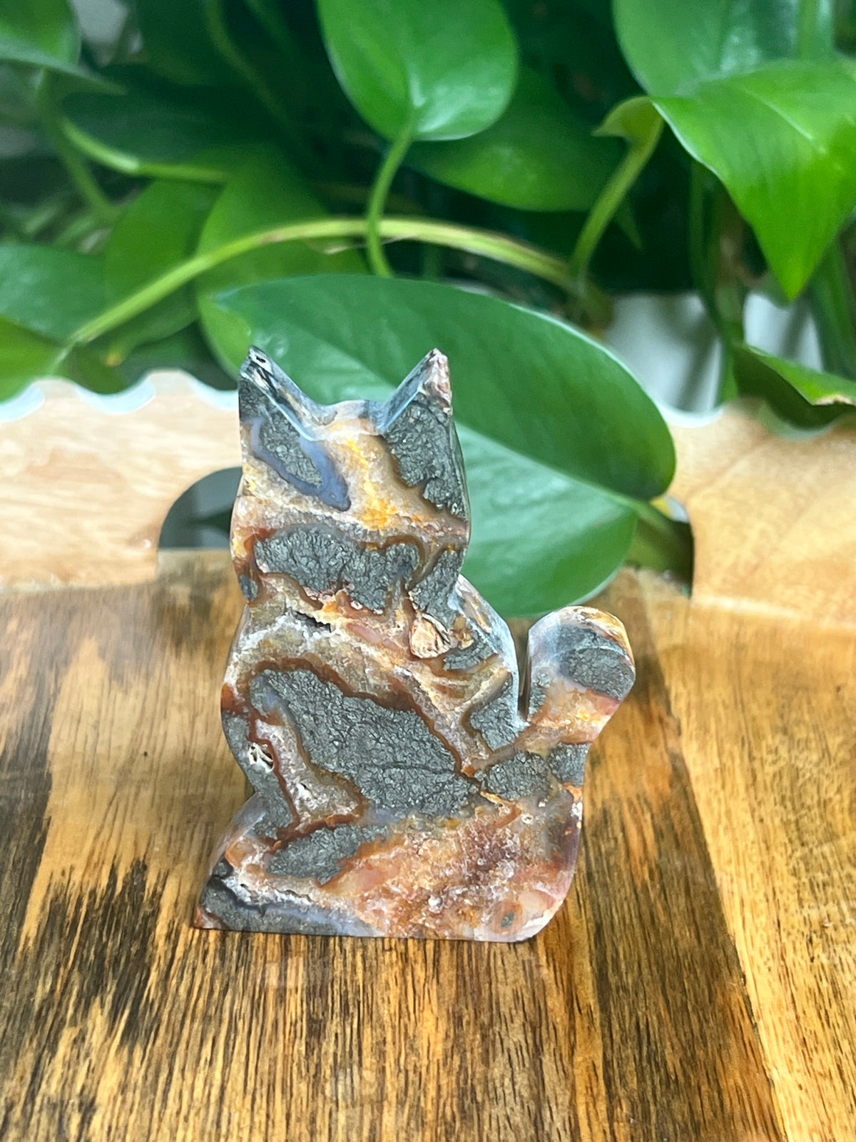 Marcasite Cat: DG