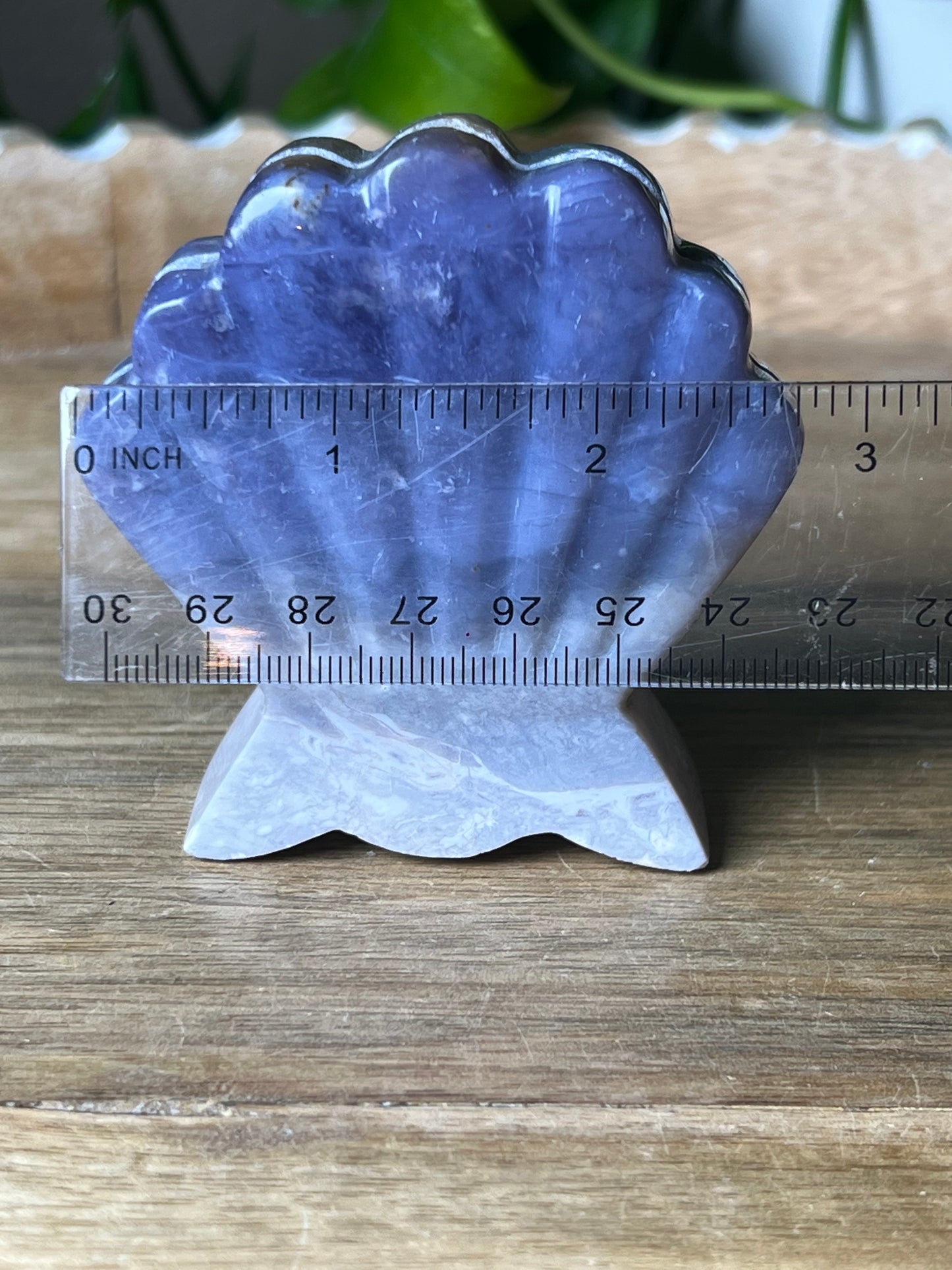 Purple Chalcedony Shell