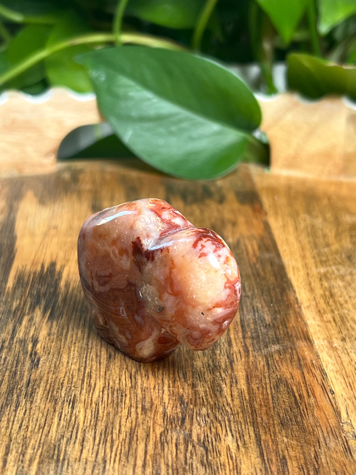 Carnelian Mini Buffalo: BD