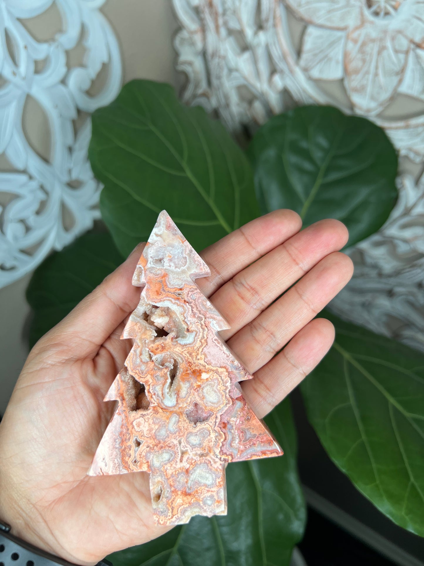 Crazy Lace Agate Tree