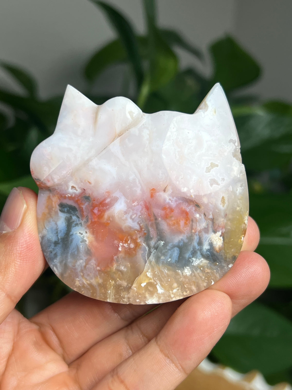 Rainbow Plume Agate Cat: FD