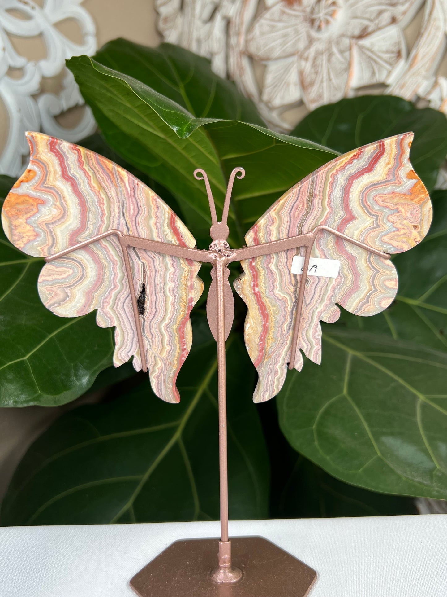Crazy Lace Agate Wings