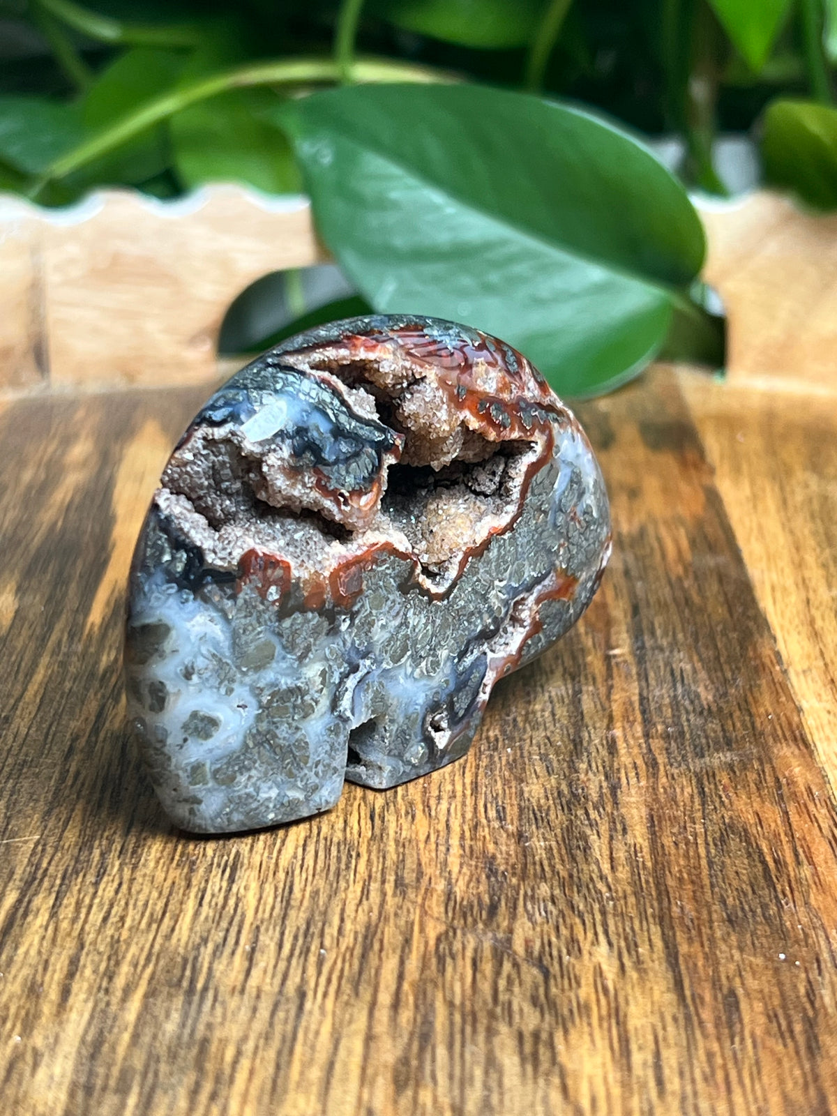 Marcasite Bear: Ti