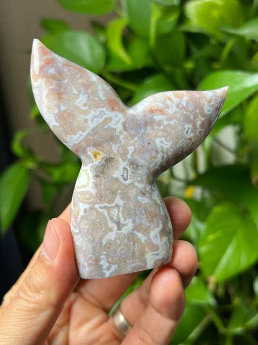 Sumatra Plume Agate Tail