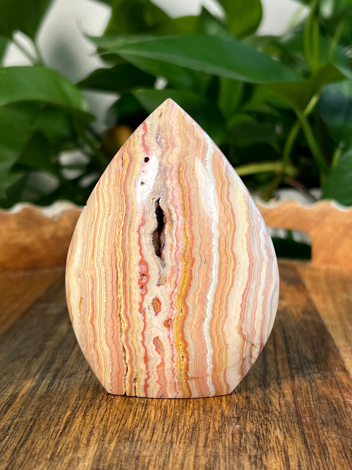 Crazy Lace Agate Flames
