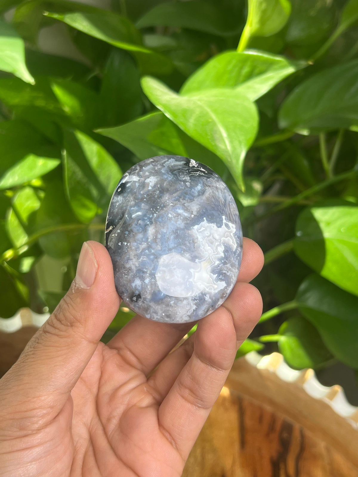 Blue Plume Agate Palmstone: BK