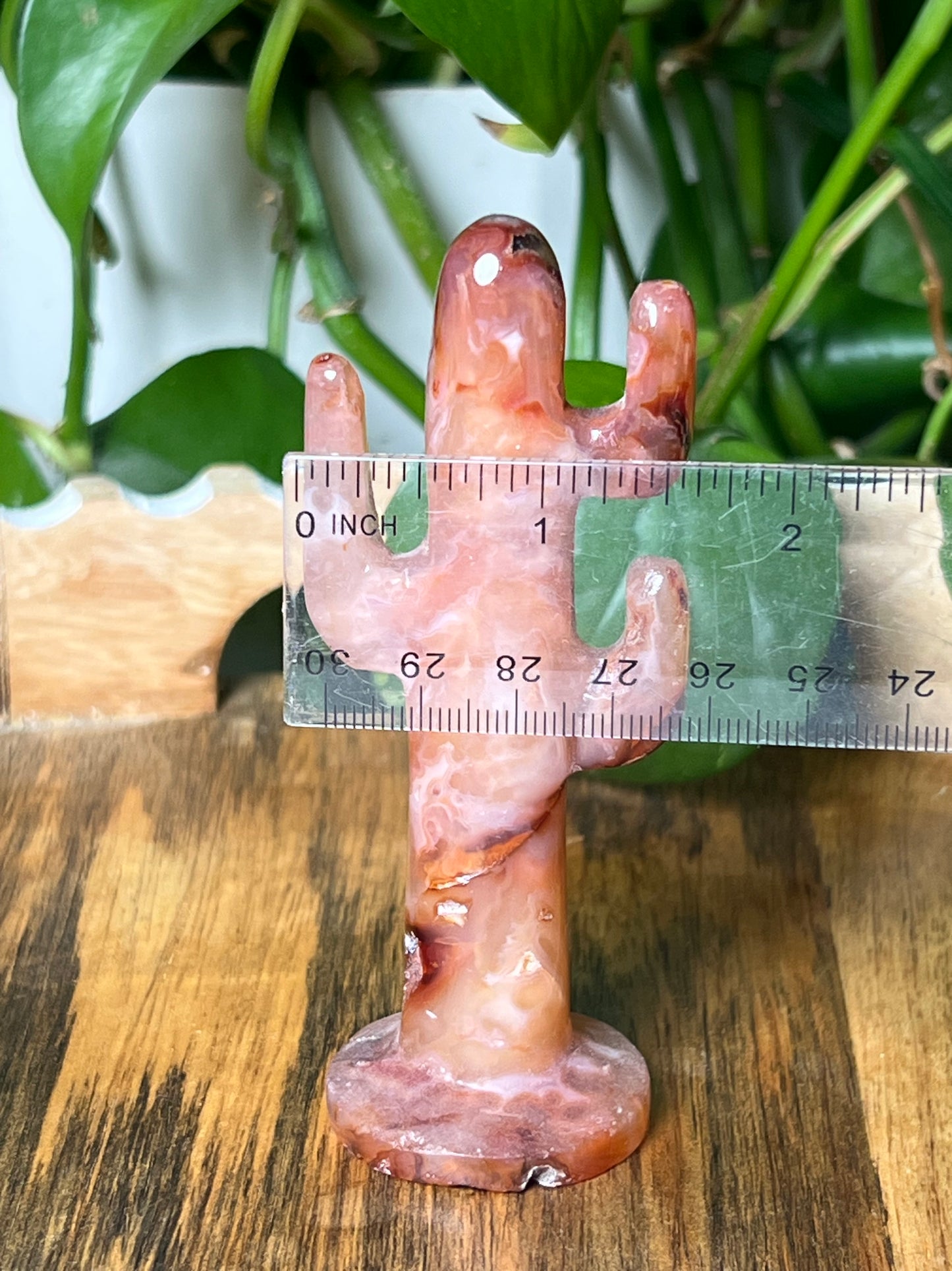 Pink Carnelian Cactus