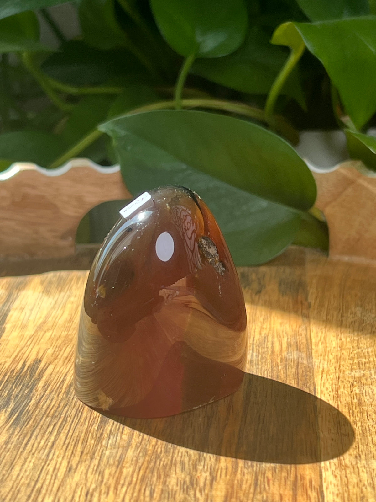Blue Amber Freeform: U