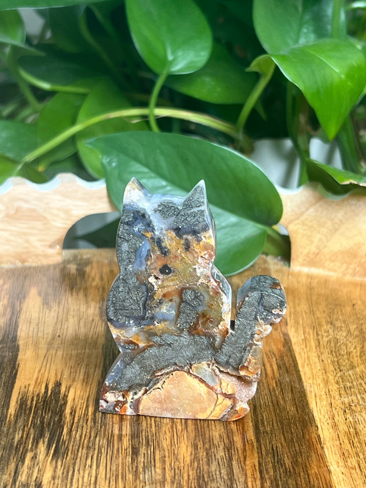 Marcasite Cat: DF