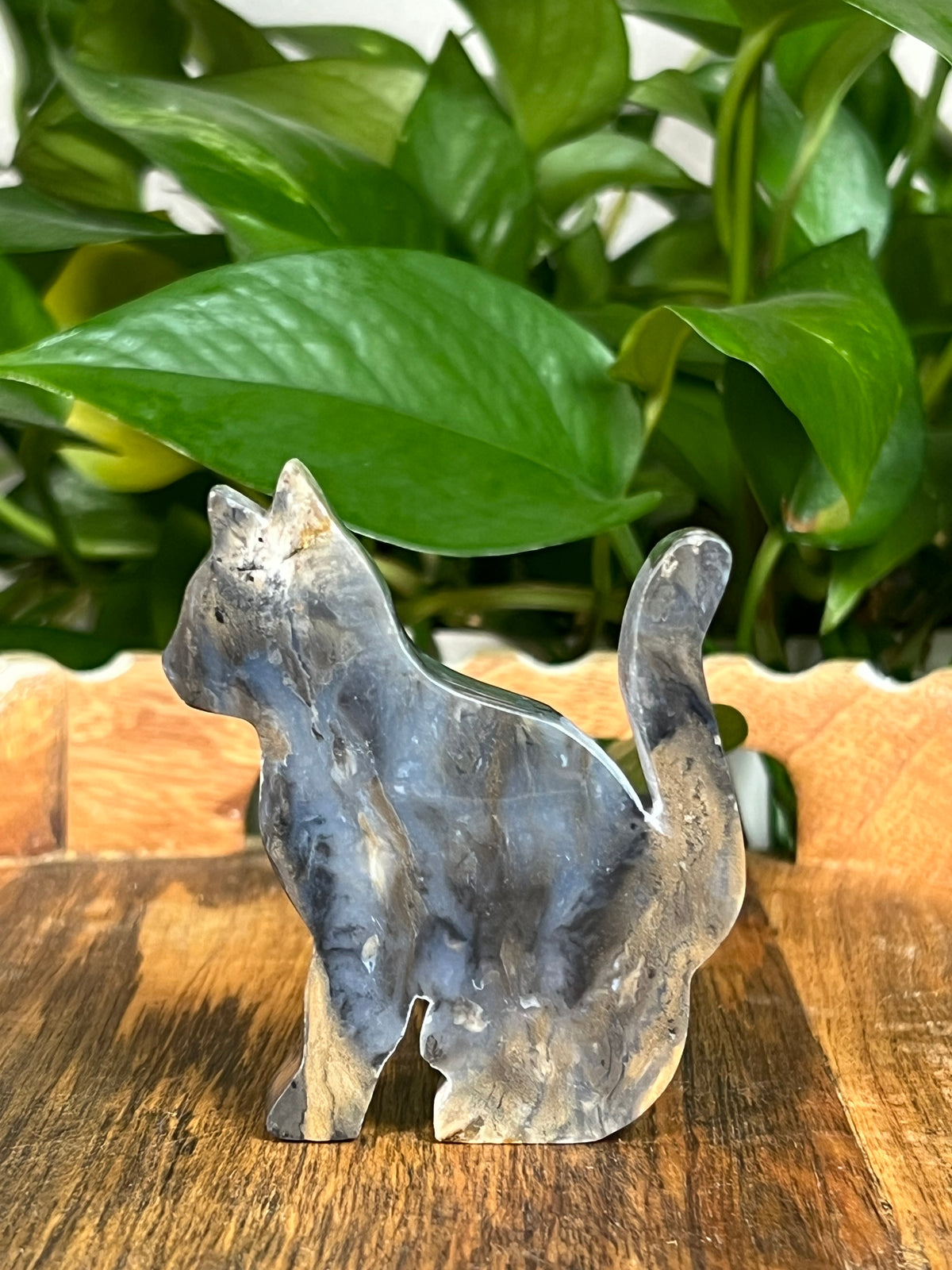 Dendritic Tiger Agate Cats