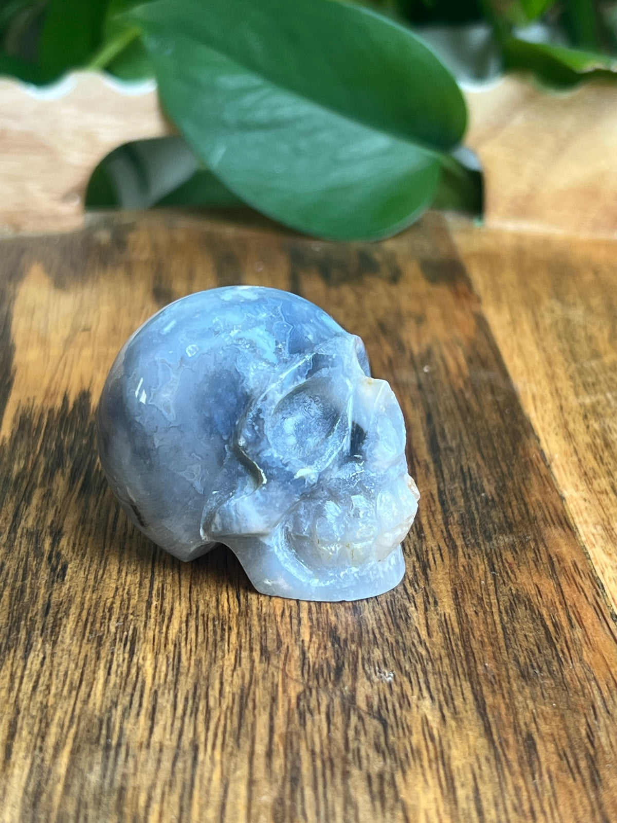 Blue Plume Agate Skull: H