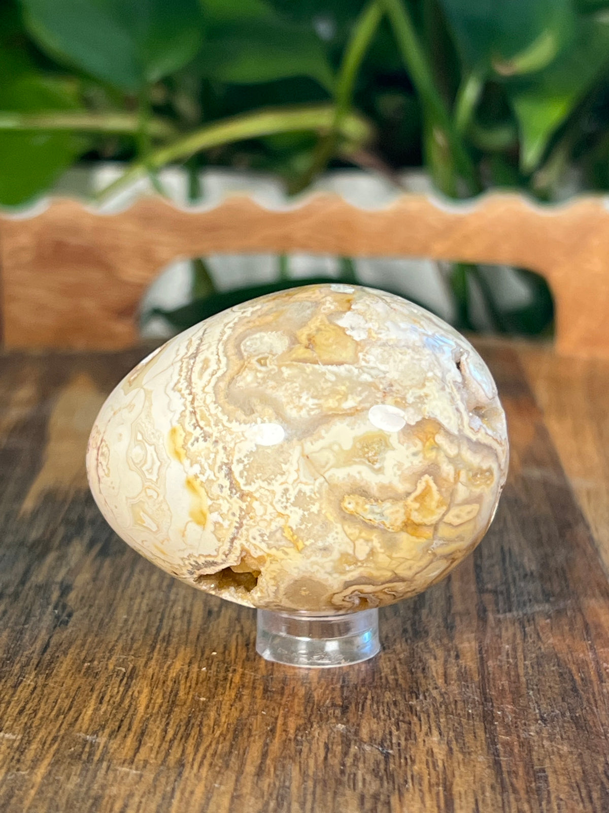 Crazy Lace Agate Egg: SA