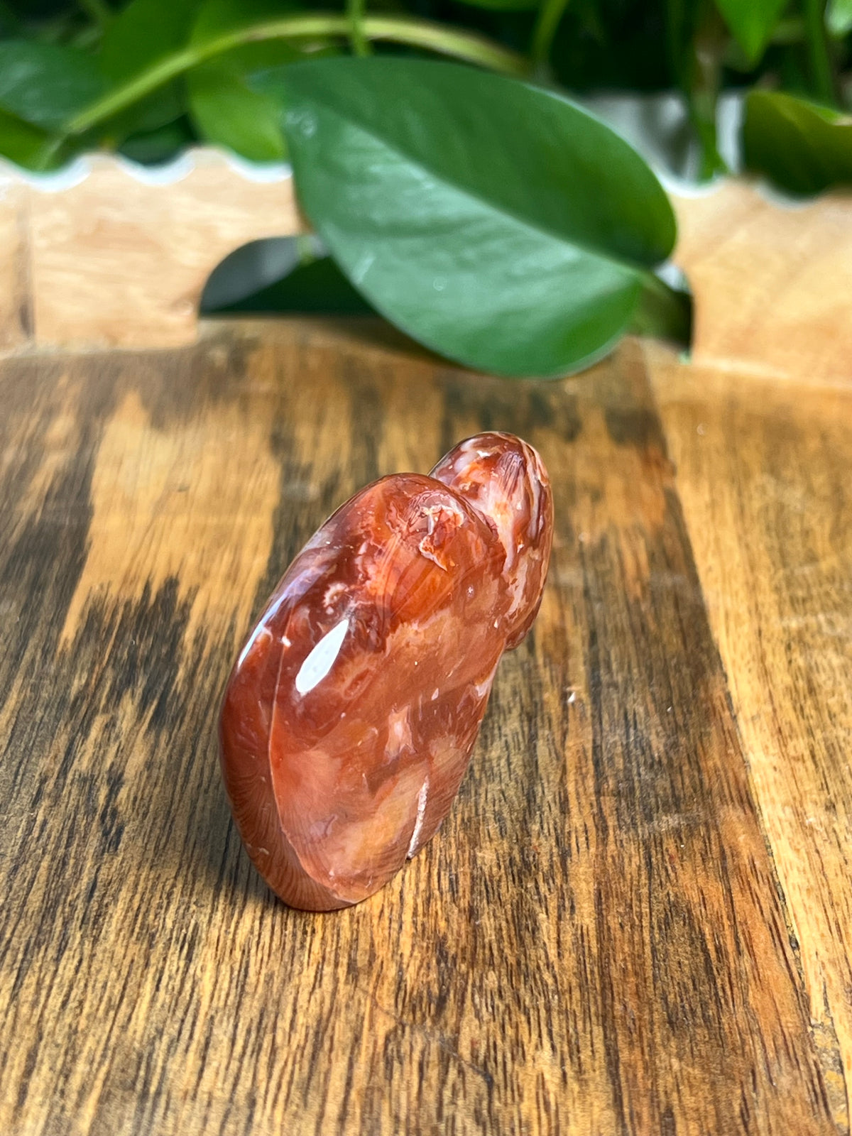 Carnelian Mini Buffalo: Z