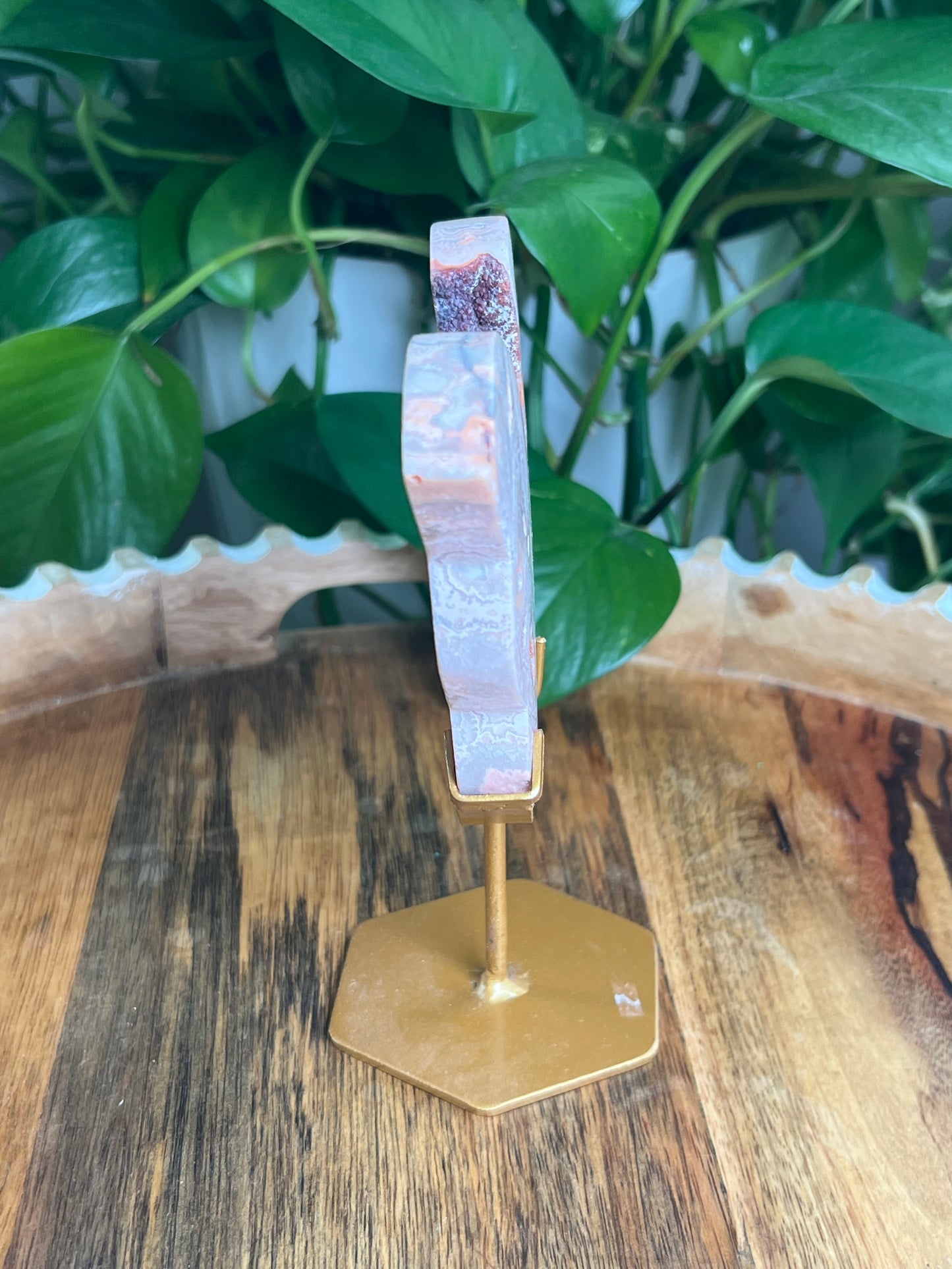 Crazy Lace Agate Butterfly: PG