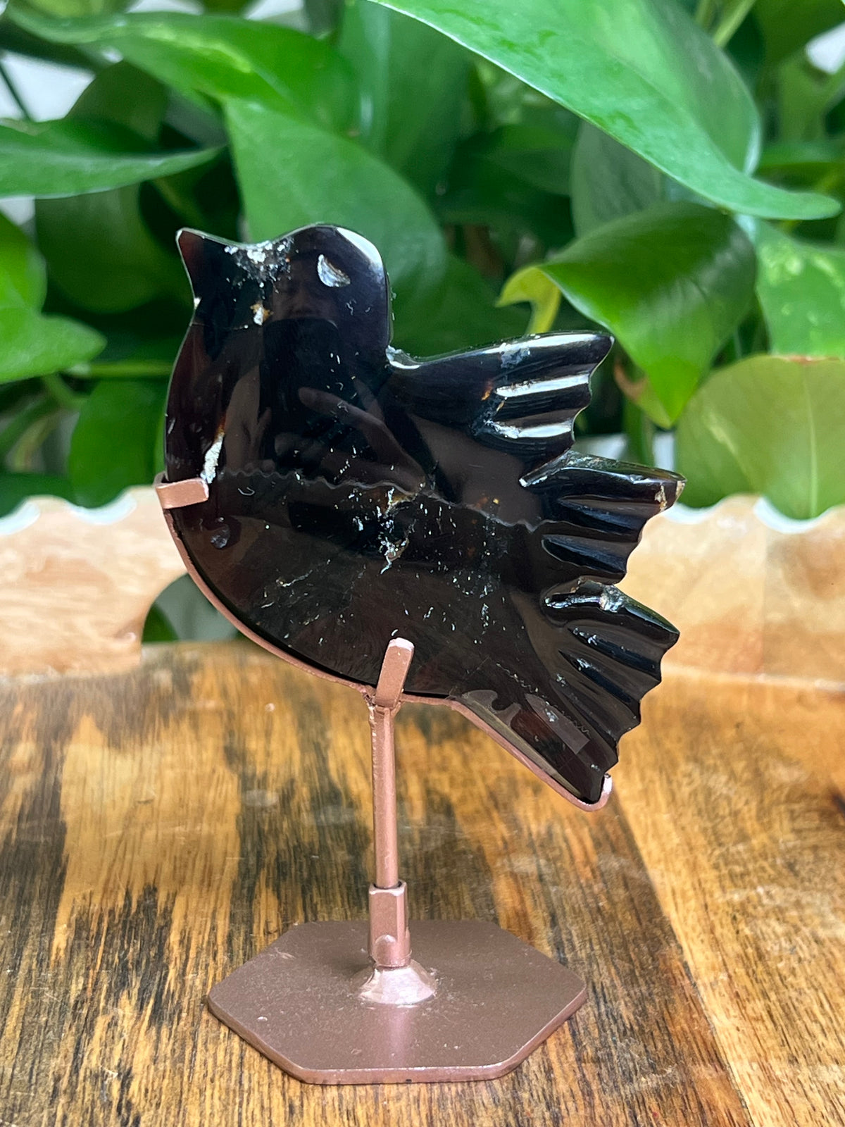 Blue Amber Bird: AE