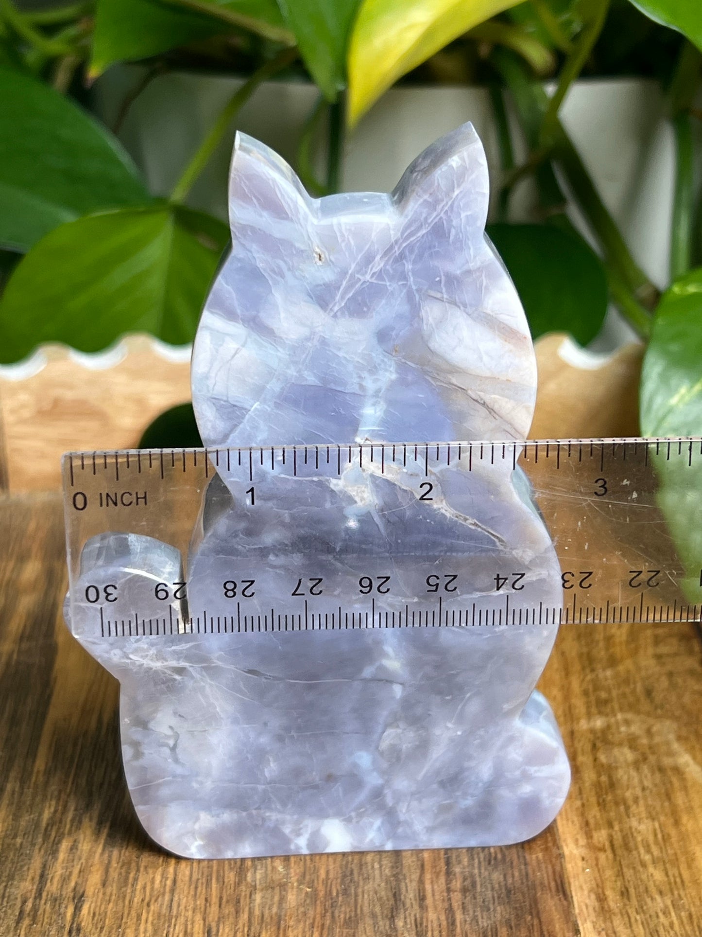 Purple Chalcedony Cat PX