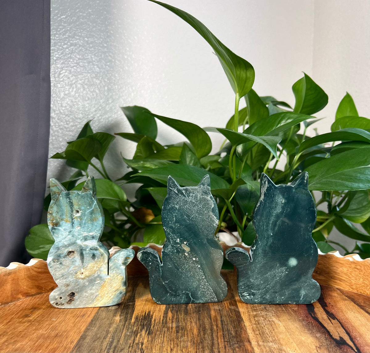 Blue Green Jasper Cats