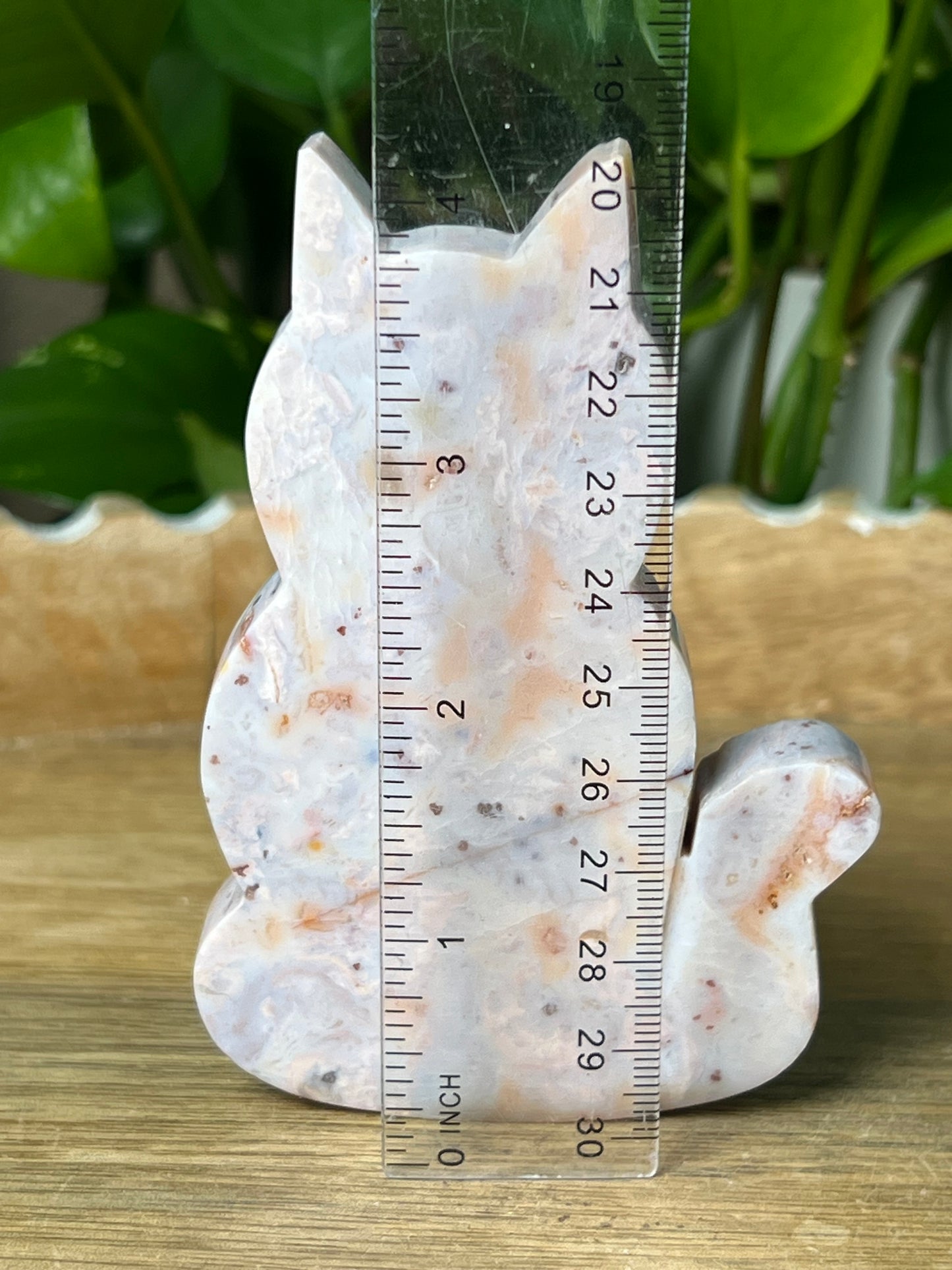 Pink Carnelian Cat