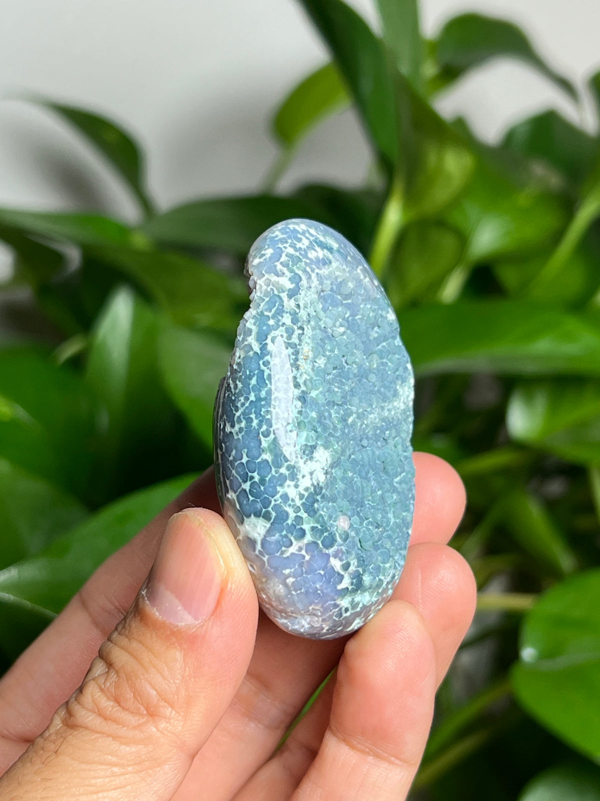 Grape Agate Palmstone: TA