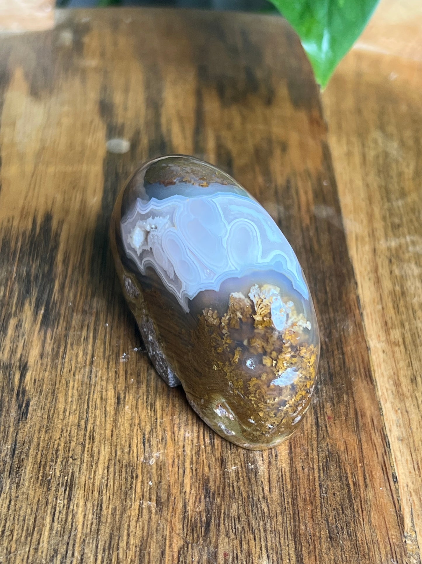 Scenic Moss Agate Bear BH