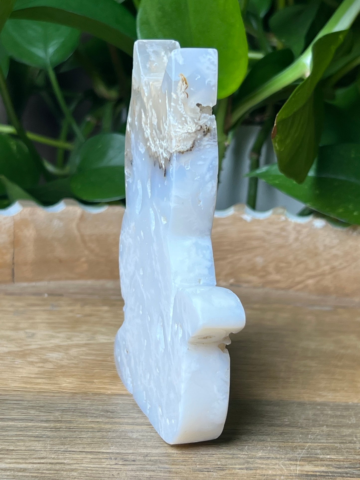 White Plume Agate Cat