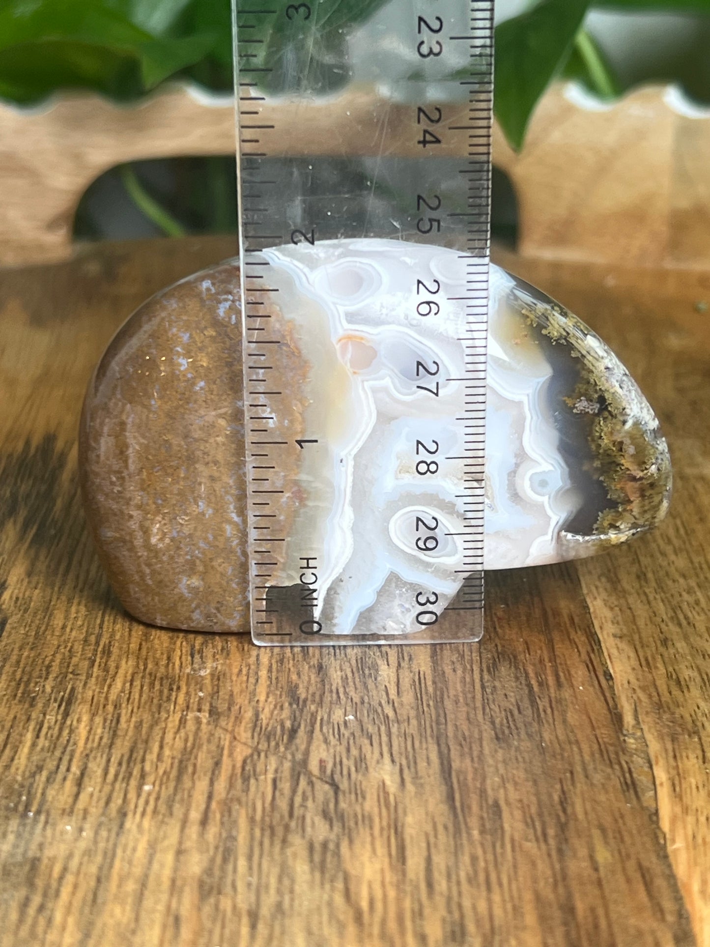 Scenic Moss Agate Bear BC