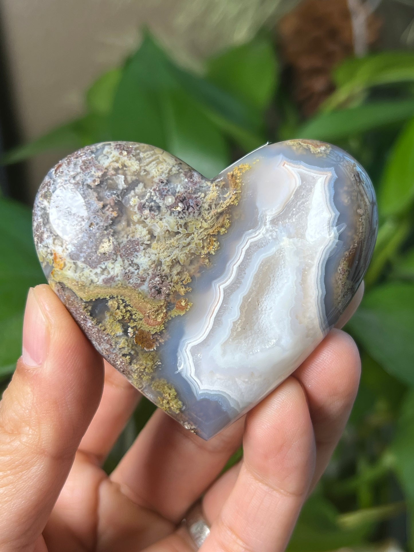 Scenic Moss Agate Heart