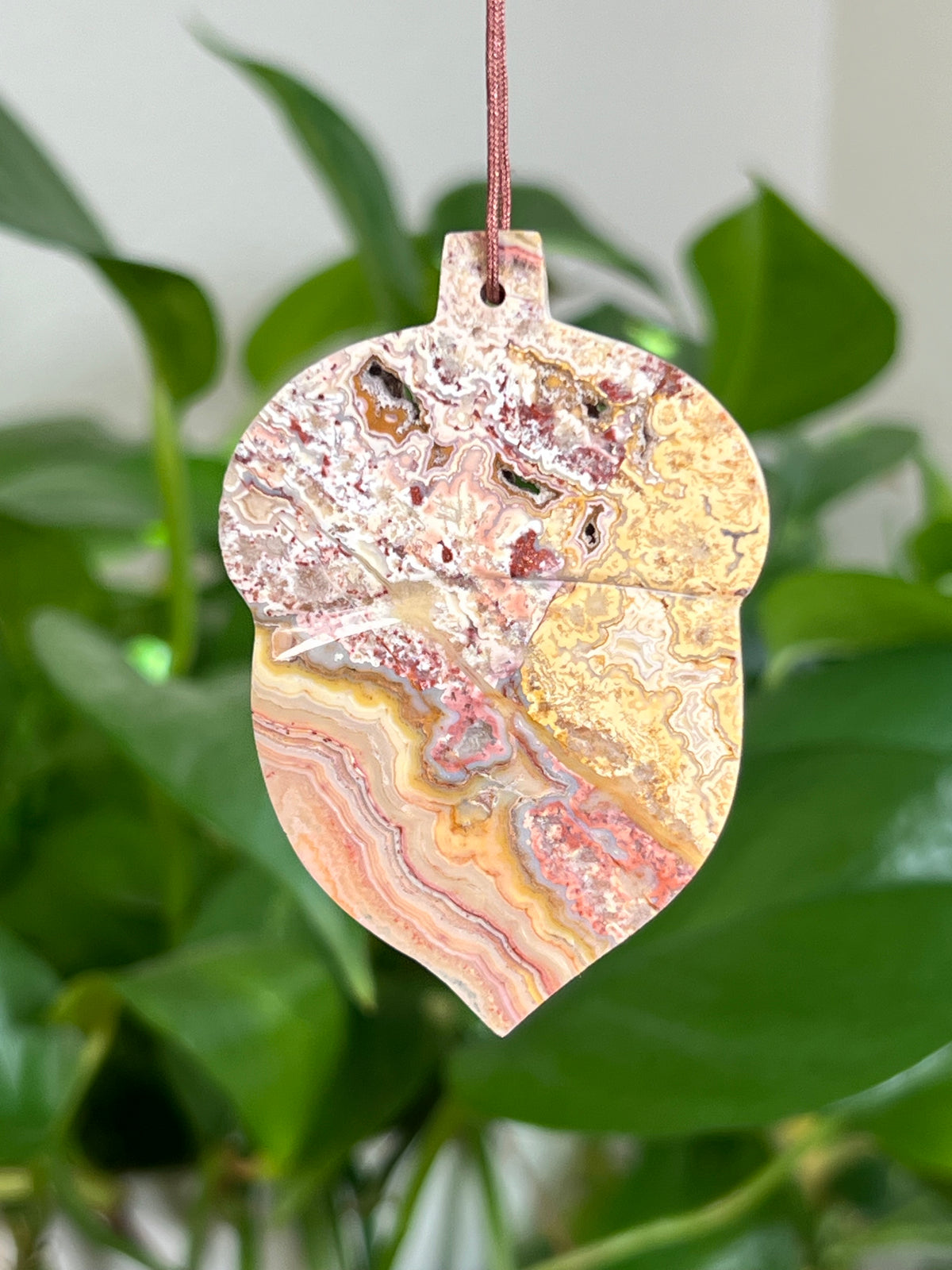 Crazy Lace Agate Acorn Ornaments