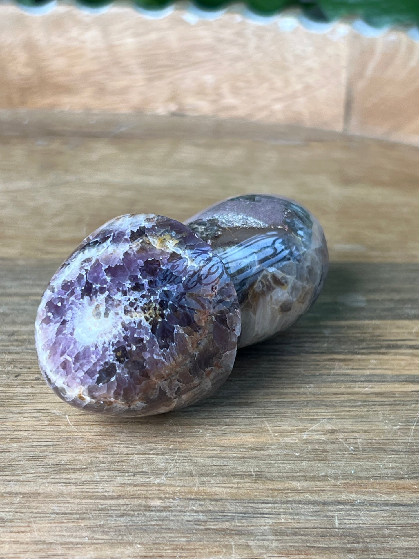 Indonesia Amethyst Mushroom: TE