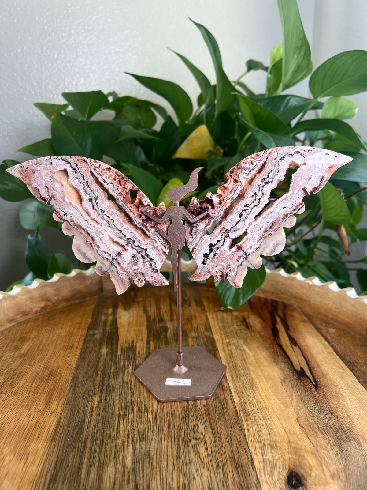 Crazy Lace Agate Wings P