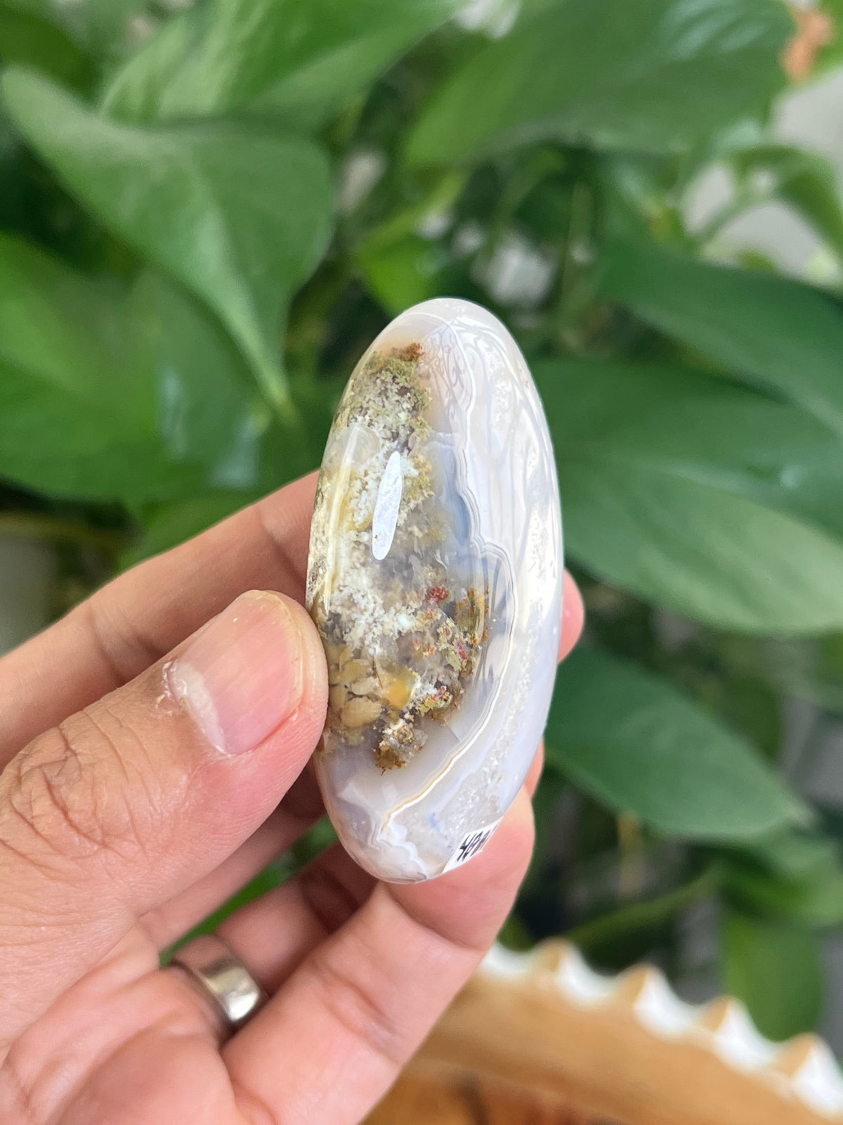 Scenic Moss Agate Palmstone: Bi