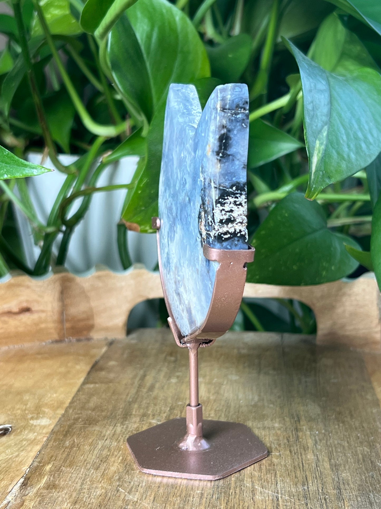 Blue Plume Agate Cat