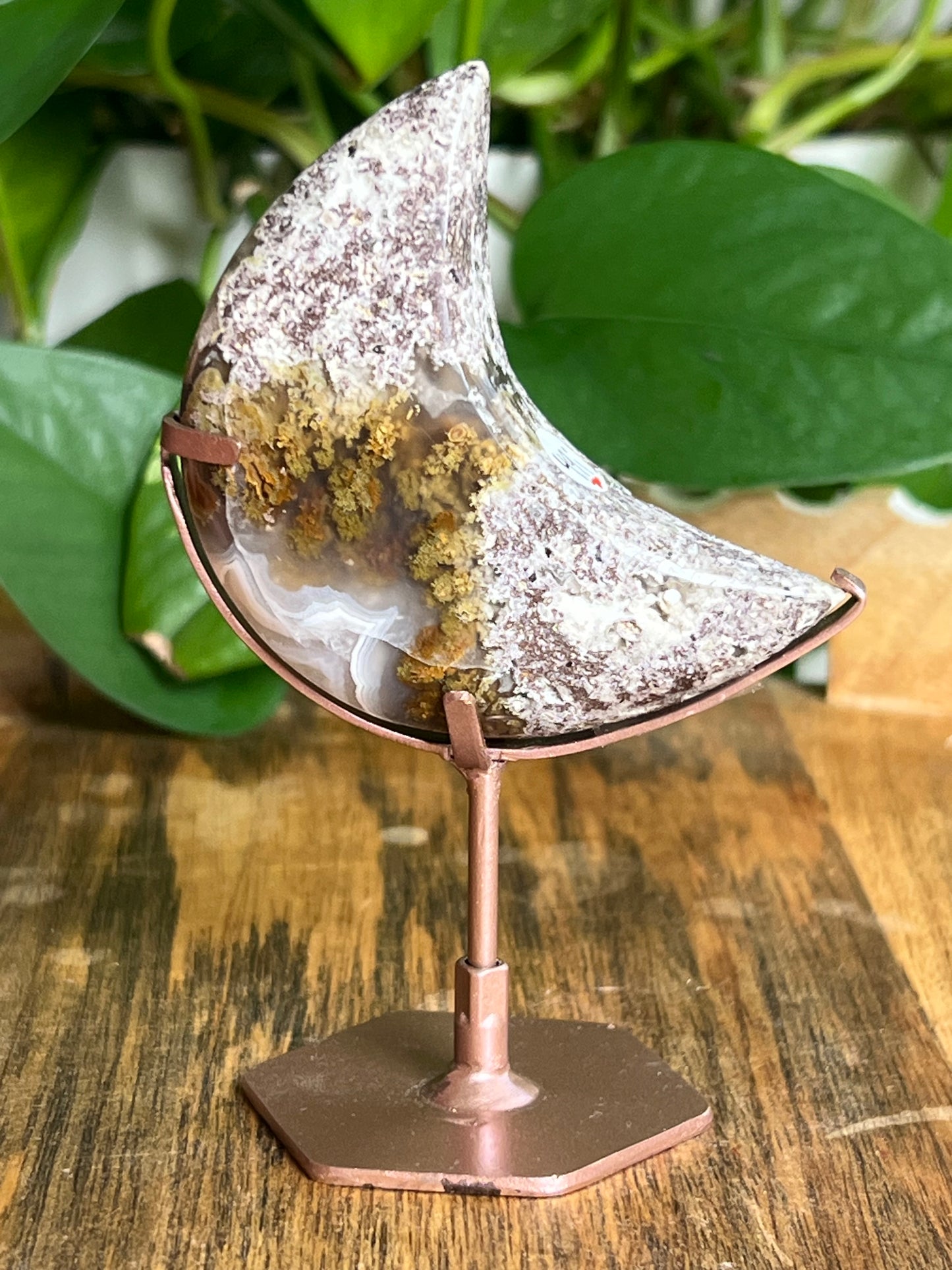 Scenic Moss Agate Moon: I
