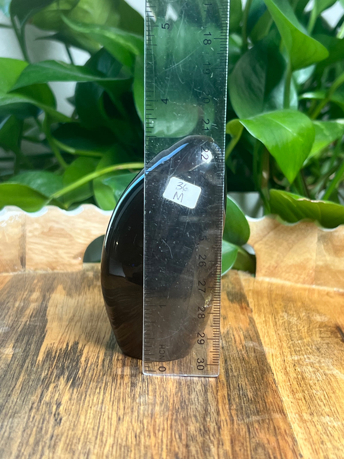 Blue Amber Freeform: M
