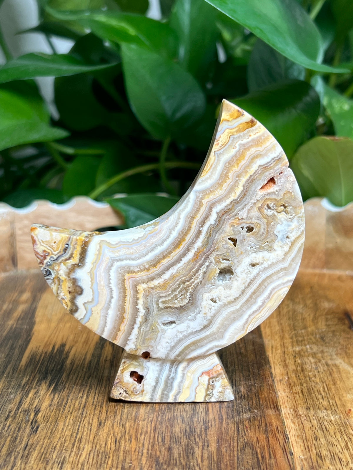 Crazy Lace Agate Self Standing Moon: BD