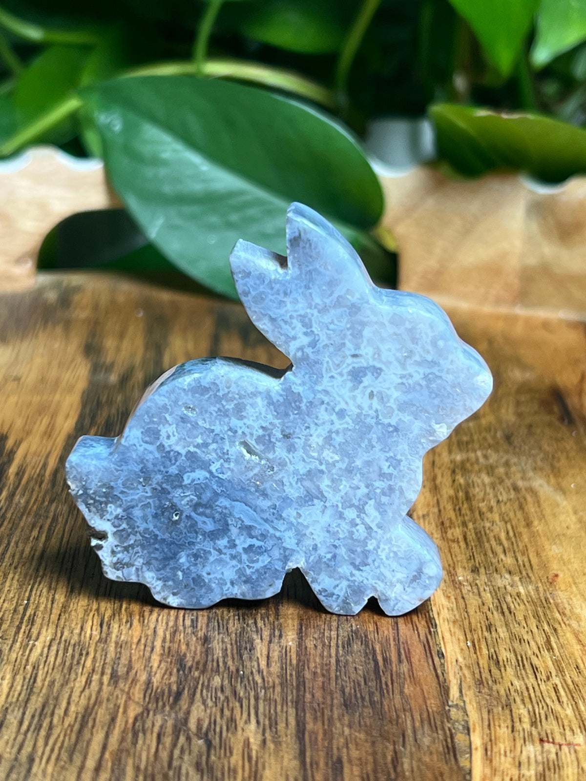 Blue Plume Agate Bunny: PC