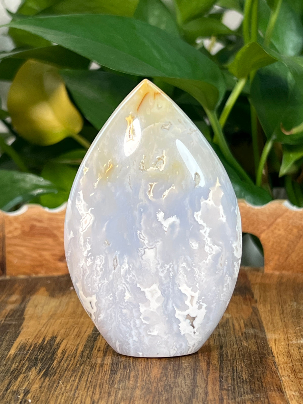 Winter Plume Agate Flames